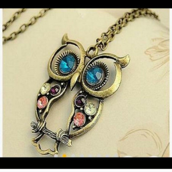 Jewelry - Gorgeous Owl Pendant Necklace!